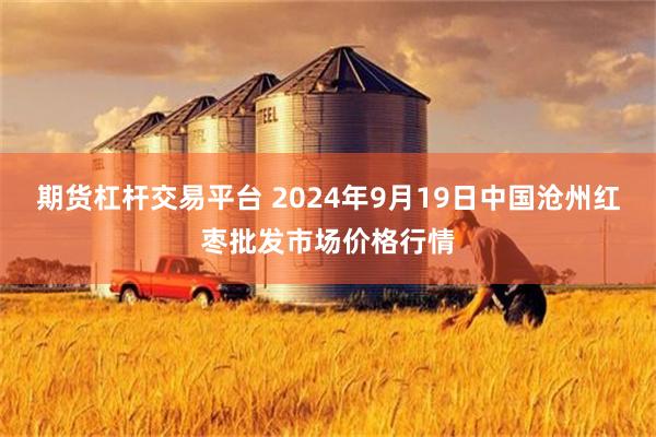 期货杠杆交易平台 2024年9月19日中国沧州红枣批发市场价格行情