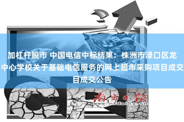 加杠杆股市 中国电信中标结果：株洲市渌口区龙潭镇中心学校关于基础电信服务的网上超市采购项目成交公告