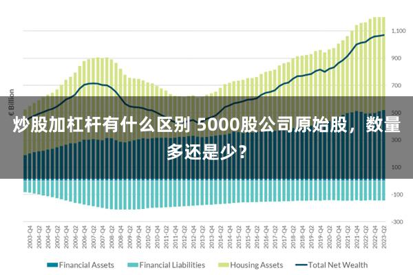 炒股加杠杆有什么区别 5000股公司原始股，数量多还是少？