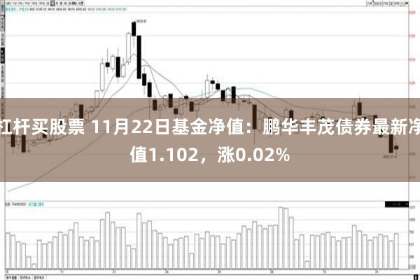 杠杆买股票 11月22日基金净值：鹏华丰茂债券最新净值1.102，涨0.02%