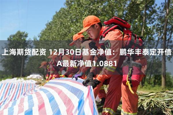 上海期货配资 12月30日基金净值：鹏华丰泰定开债A最新净值1.0881