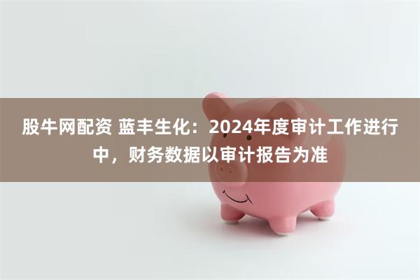 股牛网配资 蓝丰生化：2024年度审计工作进行中，财务数据以审计报告为准