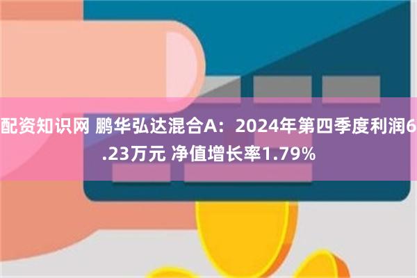 配资知识网 鹏华弘达混合A：2024年第四季度利润6.23万元 净值增长率1.79%