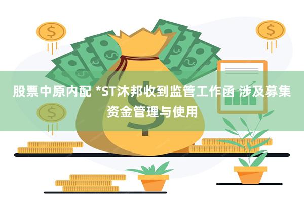 股票中原内配 *ST沐邦收到监管工作函 涉及募集资金管理与使用