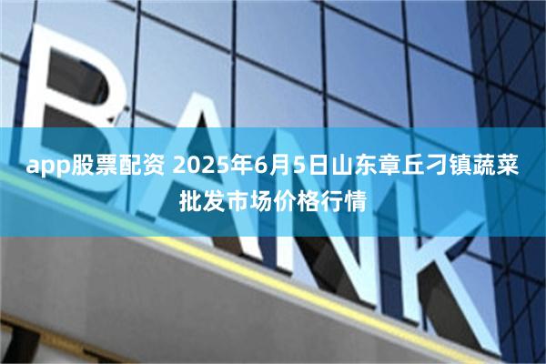 app股票配资 2025年6月5日山东章丘刁镇蔬菜批发市场价格行情